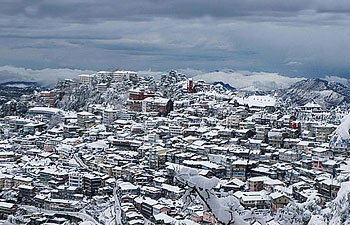 Shimla